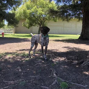 Atlas scoping the scene