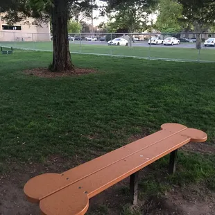 Bone shaped benches