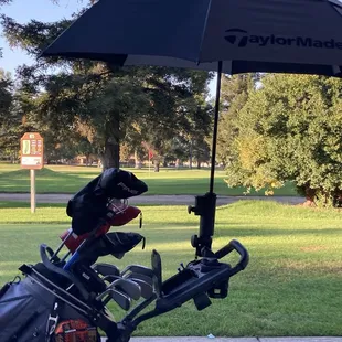 Great day on the course! Relaxing before making the turn on 10. In the background is hole 9.