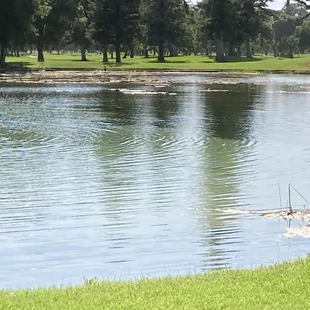 The turnaround at Hole 10 of Manteca Golf course.