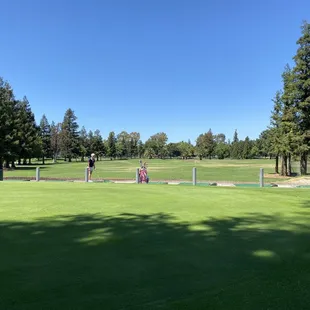 Driving range view from the putting green