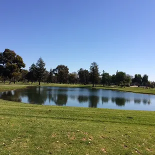 Hole 8 par 3