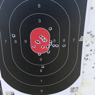 Aero AR10 with Vector 1-6X24 at 100 yards