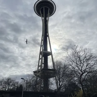 A 1 Mike walk from the Space needle and MOPOP