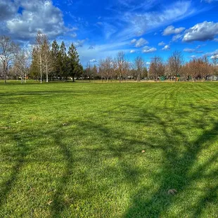 Blue skies over Barandas Park