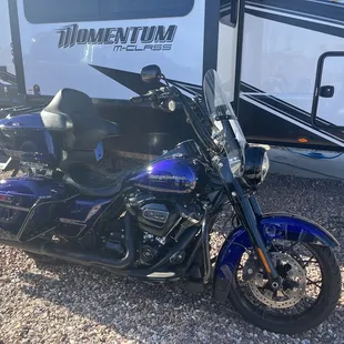 My stallion "No Name"