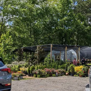 Great selection this time of the year.