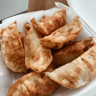 Fried Dumplings