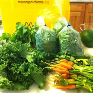 Our first box! Kale, Choy sum, radishes, carrots, curry leaves, and some stuff I don't know what it is!
