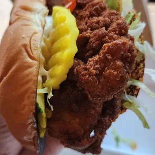 Chicken Sandwich