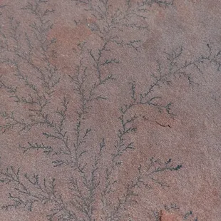 We found dendrite patterns on some of our Colorado red flagstone!