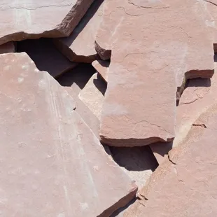 Colorado red steppers.