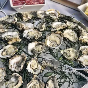 oysters, shellfish, mussels, food, oysters and mussels