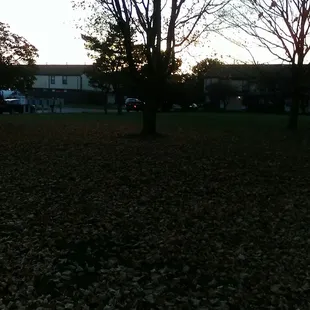 Spacious property although There are rules and curfews in place for kids to play