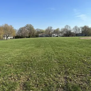 Real clean and quiet