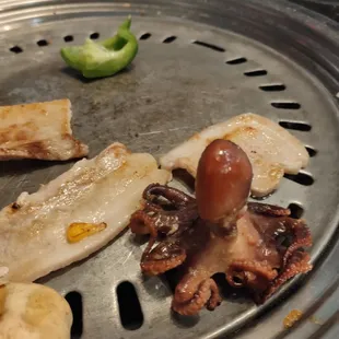 Baby Octopus