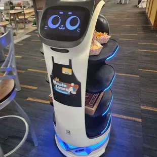 The robot that brings you your food