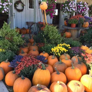 Maple Leaf Orchards 9/27/15