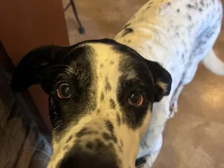 Cracked Barrel Winery