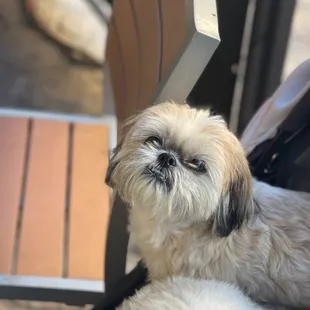 Lucy