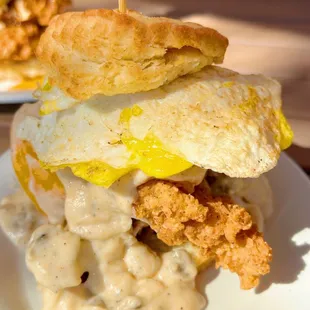 a fried egg sandwich on a biscuit