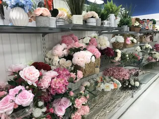 Marshalls