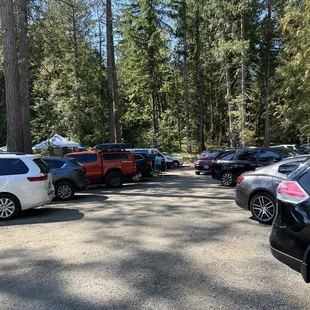  parking lot full of cars