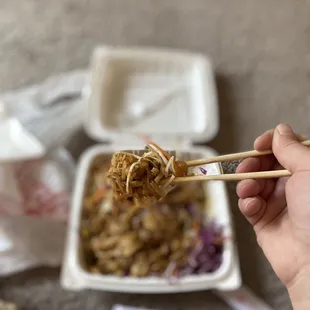 a person holding chopsticks over a bowl of noodles