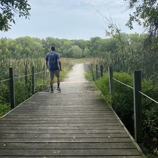 Boardwalk