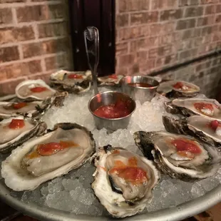 Oysters