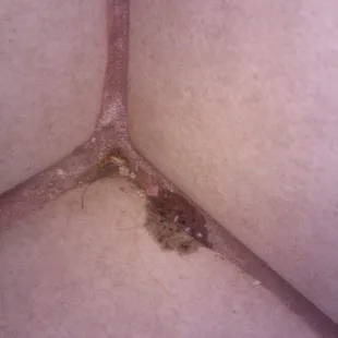 Brown gunk around shower