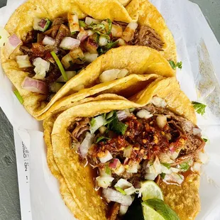 Taco birria