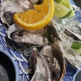 mussels, food, oysters, shellfish, oysters and mussels