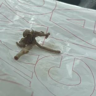 a toy on a plastic bag