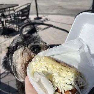 Arepa Vegana