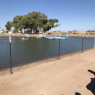 Paddleboats