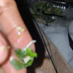 Closer pic of staple found in my food