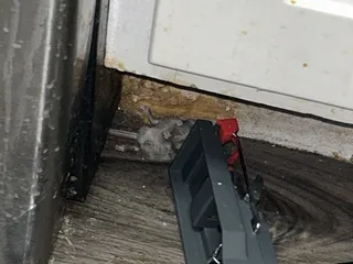 Bridge Pointe Landing Apartments