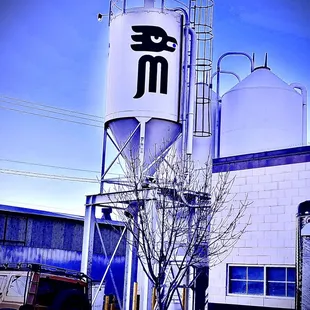 a tree in front of the building