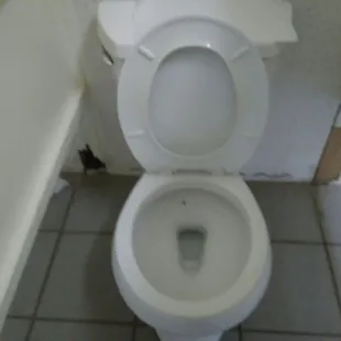 Both toilets have dirty rings, do not look cleaned.