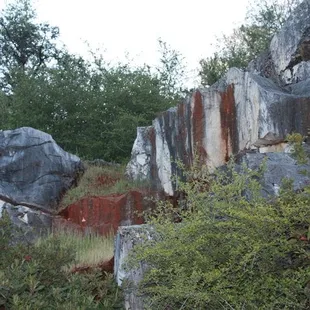 More MARBLE