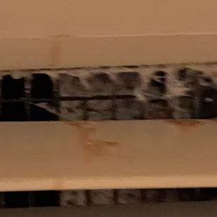 This is the AC unit...Mold and dirt...aweful smells