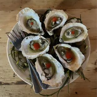 Oysters