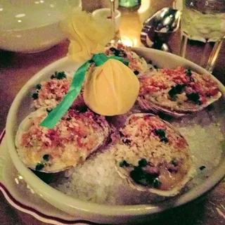 Oysters Bienville