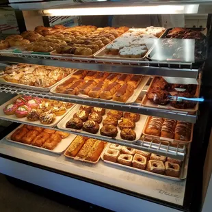 Donut Case #1