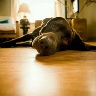 Nelly R.