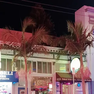 ~ Another Night Time Picture Shot Of Marcello Pizza ~