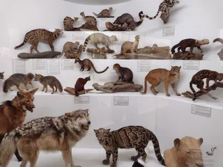 World Museum of Natural History