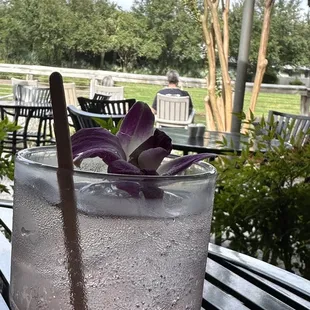 Ocean breeze Cocktail