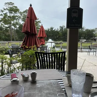 The turtle pond fountain from the back porch dining area